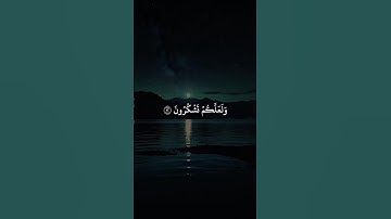 سورة فاطر بصوت الشيخ أنس العمادي
