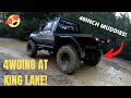 4WDING AT KING LAKE! 5ltr v8 Hilux on 40 inch muddies + RD28 GU Patrol