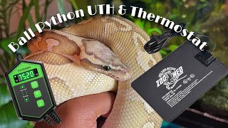 Ball Python Under Tank Heater & Thermostat Setup