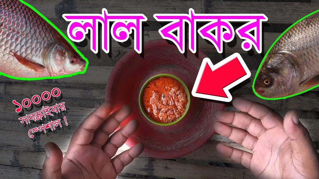 Fishing Bait Lal Bakor লাল বাকর মাছ ধরার জন্য