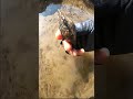 田んぼの溝で