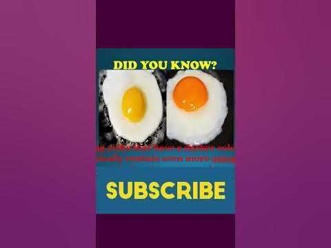 Did you know? meaning of egg yolk color - YouTube