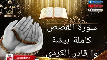 سورة القصص كاملة بيشة وا قادر الكردي أجمل صوت 🤲🥹🤲