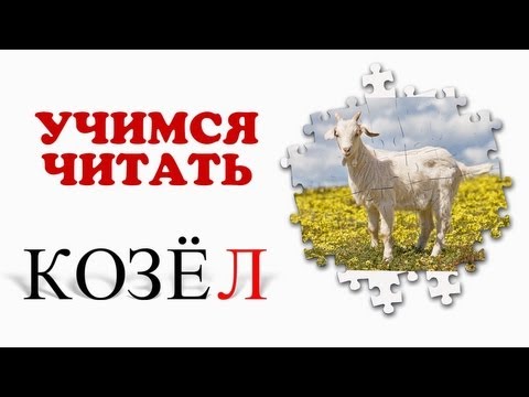 Учимся читать. Проверяем знания. Звуки животных (3)