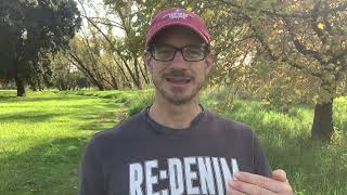 The Leadership Practice That Changes Everything (But Most Ignore)