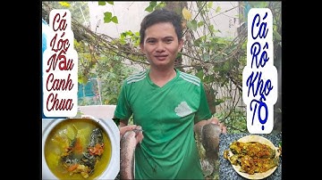 Đi Làm Vườn Vào Bắt Cá Làm Món Cá Lóc Nấu Canh Chua Và Cá Rô Kho Tộ | Bữa Cơm Gia Đình 3 Món .