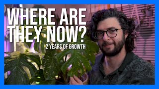 Where Are They Now?! | Update on my first international plant order 2 years later