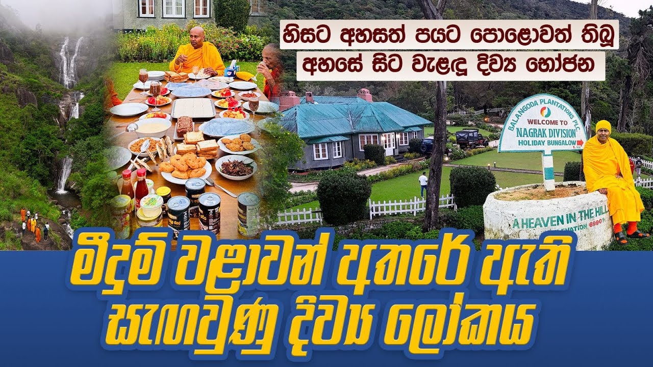 මීදුම් වළාවන් අතරේ ඇති සැඟවුණු දිව්‍ය ලෝකය