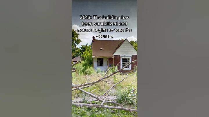 I wonder what happened to them… #abandoned #googlemaps #detroit #house #urbex
