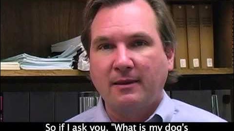 Interviewing Children: Getting More with Less by Thomas D. Lyon