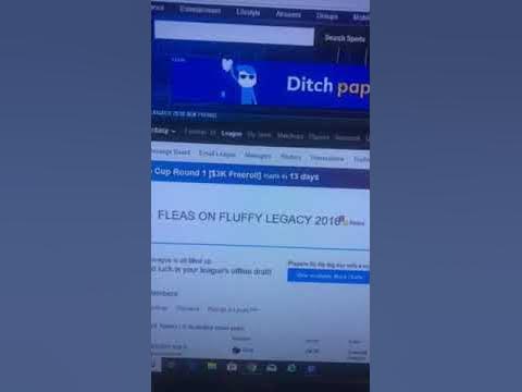 2018 FLEAS ON FLUFFY SCHEDULE RANDOMIZATION - YouTube