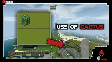⬜mini block craft 3d || what is the use of cactus in survival mode