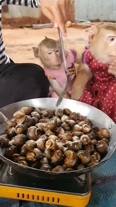 👪🤠🥰 Love 🤣🙊 Yaya 🙈🍳🍳#Shorts