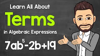 All About Terms | Identifying, Counting, & Combining | Algebra | Math with Mr. J