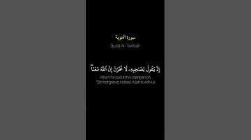 اكتب شي تؤجر عليه | القارئ محمد اللحيدان🤍🖤