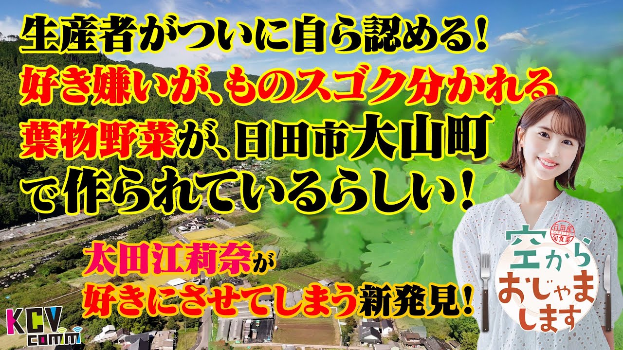 【KCV Hita】空からおじゃまします第10回 「しろま農園」編
