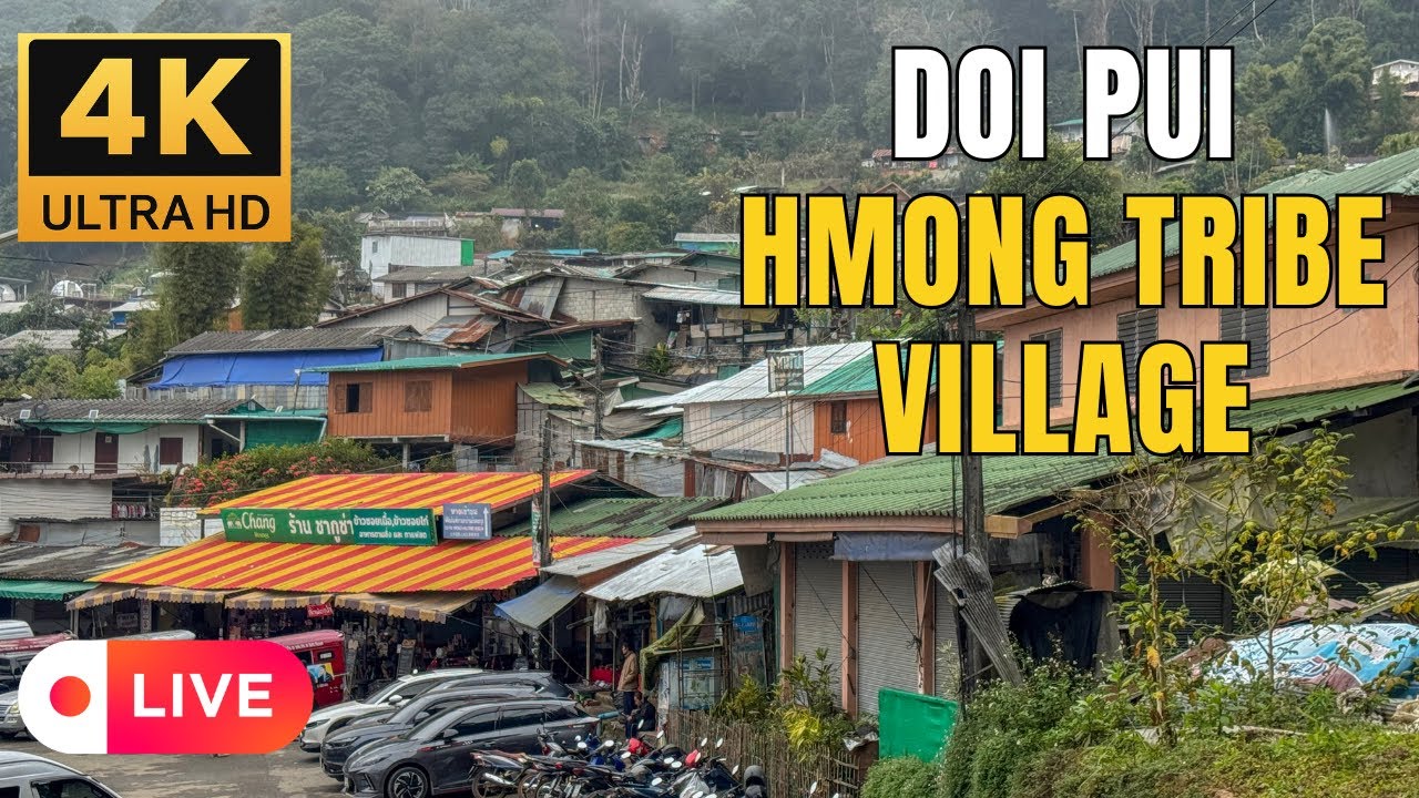 Doi Pui Hmong Hill Tribe Village (Chiang Mai) หมู่บ้านชาวเขาม้ง ดอยปุย เชียงใหม่ [4K, no narration]