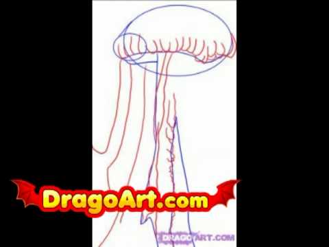 How to draw a jellyfish, step by step - YouTube