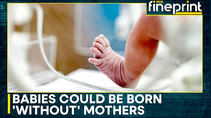 Scientists: Created Early-Stage Human Embryos Using Skin Cells | WION Fineprint