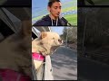 Dog funny voiceover video 🤣😂