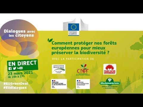 Comment l'UE peut-elle mieux protéger nos forêts ? Dialogue citoyen en direct !