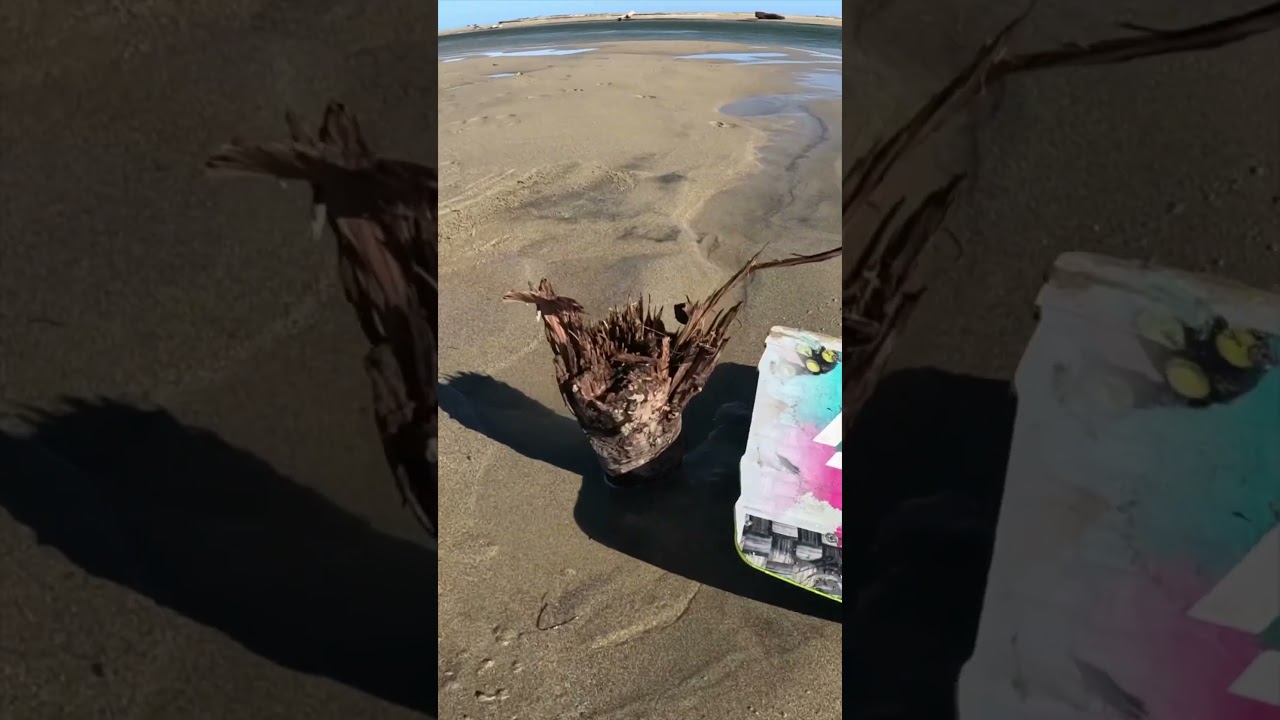 Atleast I didn’t die!!! 2023 re-cap edit coming soon!!  #courtintheact #fail #failarmy #kitesurf