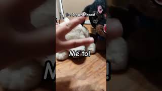 ~-*+Trying this trend*+~-#drawing#essa#latetotrend Information