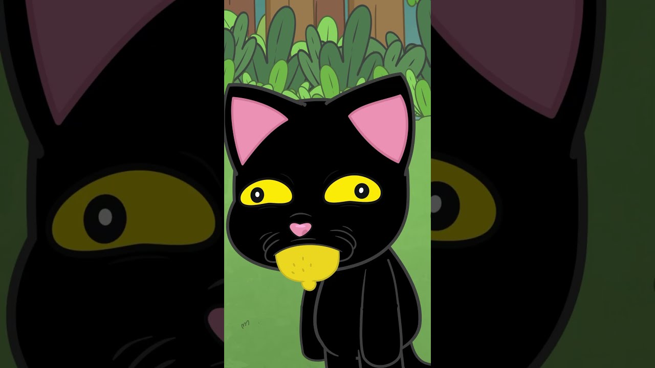 Lemon A Film By Martin Scorsese Shappysway Animation Cartoon Humor Comedy Ft 8bitbeeno