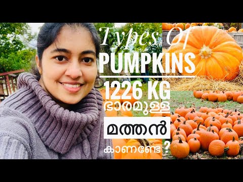 Video: The Most Unusual Pumpkin Varieties