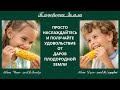 Удивительные результаты уникальных свойств барматухи Вопросы и ответы 812 25 Удивительные результаты уникальных свойств барматухи Вопросы и ответы 812 25