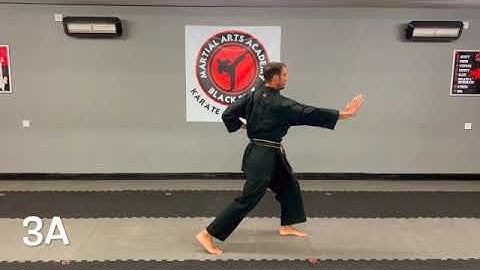 Shukokai Combinations 1 11a