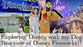 Best view ever of the Disneyland Fireworks show Wondrous Journeys! Plus Exploring Downtown Disney by fashionstoryteller 338 views 8 months ago 15 minutes