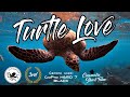 GoPro: Turtle Love [AC2019]