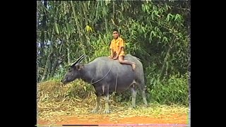 Anak-anak sekitar Mamasa tahun1993