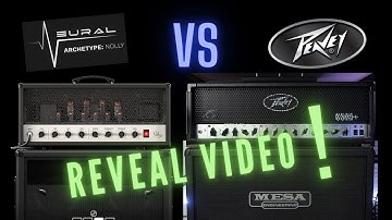 Real Amp VS Plugin - Peavey 6505+ OR Achetype Nolly see which is which