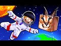 Roblox Find All The Floppa Morphs In Space