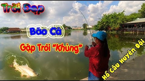 Gặp Trôi Khủng Ở Hồ Câu Cá Huyện Đội Hóc Môn | Hồ Câu Huyện Đội