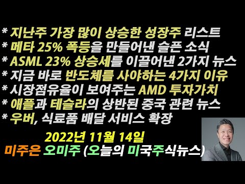 [오늘의 미국주식뉴스] 지난주 폭등한 성장주 리스트 / ASML 23% 폭등세를 이끈 2가지 뉴스 / 지금 반도체를 사야하는 4가지 이유 / 시장점유율이 보여주는 AMD 투자가치