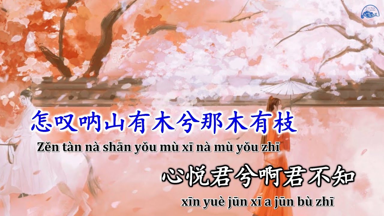Karaoke Chẩm Than 怎叹 Trịnh Ngư 郑鱼 Ktv伴奏怎叹 Nhạc Hoa Douyin Tiktok Youtube
