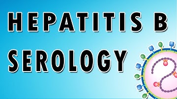 Hepatitis B Serology
