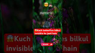 🦋 “Butterfly Facts That Will Blow Your Mind!”#shorts #snapfacts #facts #animals #viralshorts