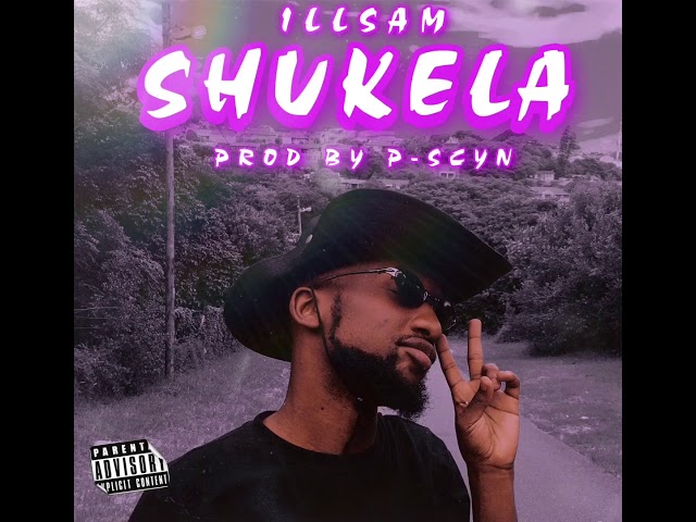 ILLSAM - Shukela (Official Audio) class=