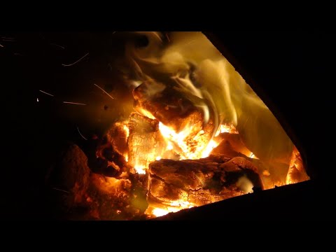 ZOTA Forta эксперимент