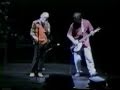 REM - Strange Currencies @ Albany, NY U.S. 1995