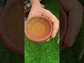 Moroccan Magic Aker Fassi Natural Lipstick Global Village Find Have You Tried It Moroccan Magic Aker Fassi Natural Lipstick Global Village Find Have You Tried It