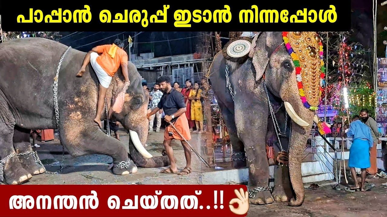 Uttoly അന്തന്റെ സ്നേഹം കണ്ടോ..🥰  അവസാനം ഭായ് പറഞ് രഞ്ജു ഏട്ടനും❤️Sk ANANTHAPATHMANABHAN🥰🔥