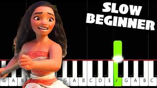 How Far Ill Go (Moana) - SLOW BEGINNER Piano Tutorial