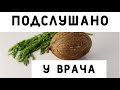 Положите это в еду, и наутро из ОРГАНИЗМА  ВЫЙДЕТ  вся гадость