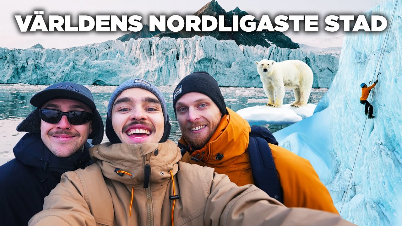 HÄR FINNS FLER ISBJÖRNAR ÄN MÄNNISKOR