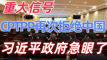 当CPTPP拒绝中国：制度之外，路在何方？问题真的是别人吗？许成钢给出真相！CPTPP的门，为什么永远为中国关着？#cptpp #制度 #经济 #许成钢